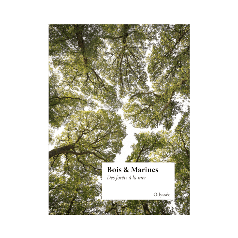 BOIS & MARINES, DES FORÊTS À LA MER