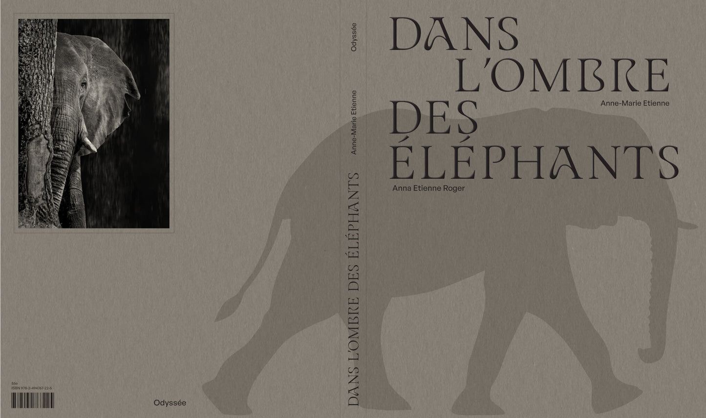 DANS L'OMBRE DES ÉLÉPHANTS
