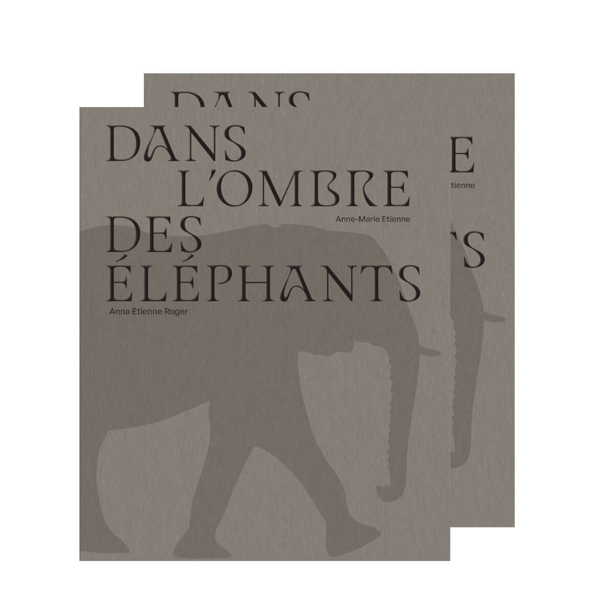 DANS L'OMBRE DES ÉLÉPHANTS