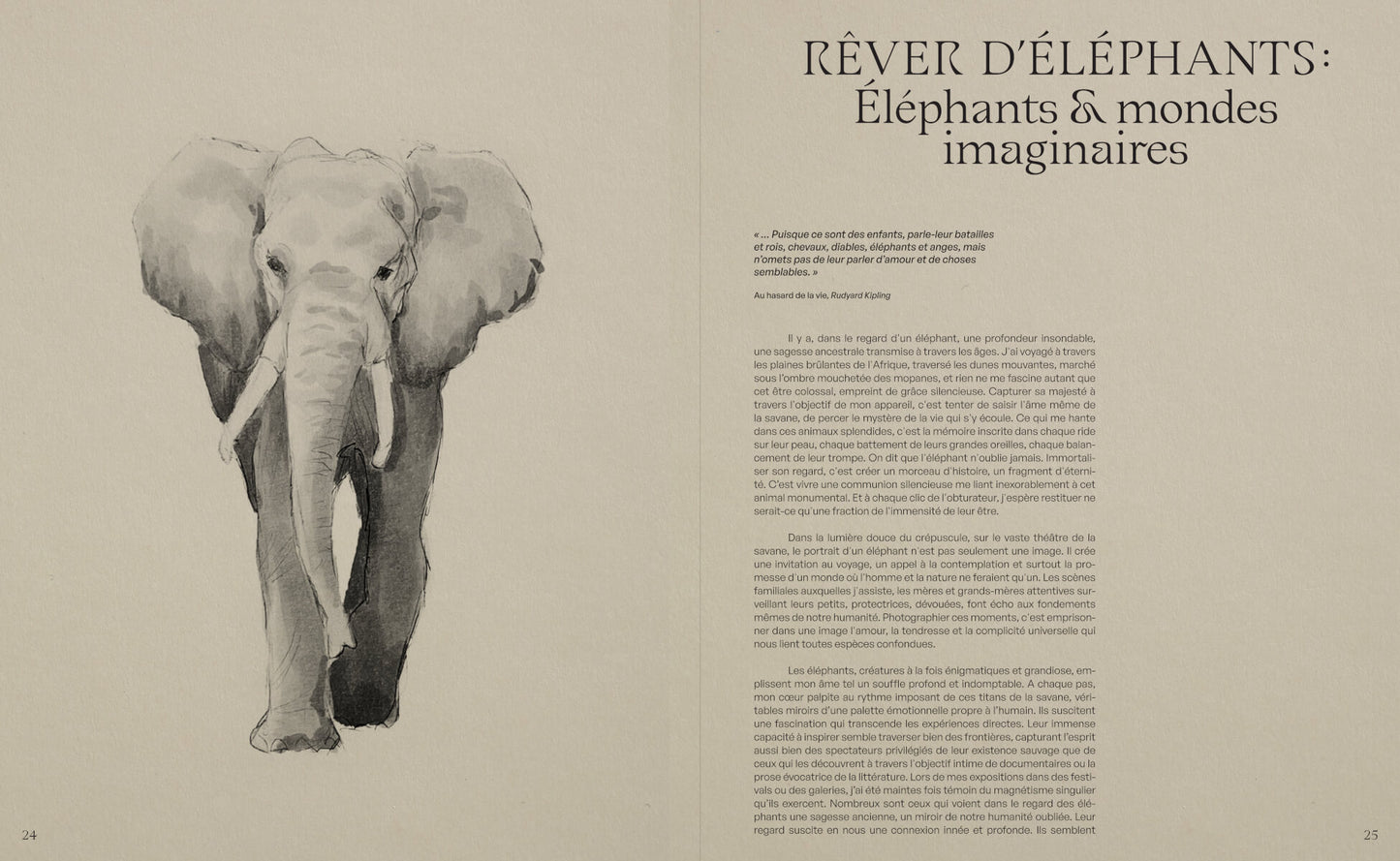 DANS L'OMBRE DES ÉLÉPHANTS