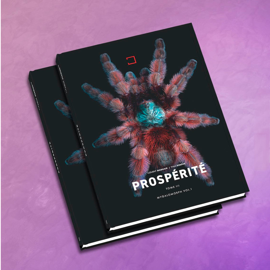 PROSPÉRITÉ TOME III MYGALOMORPH VOL.1