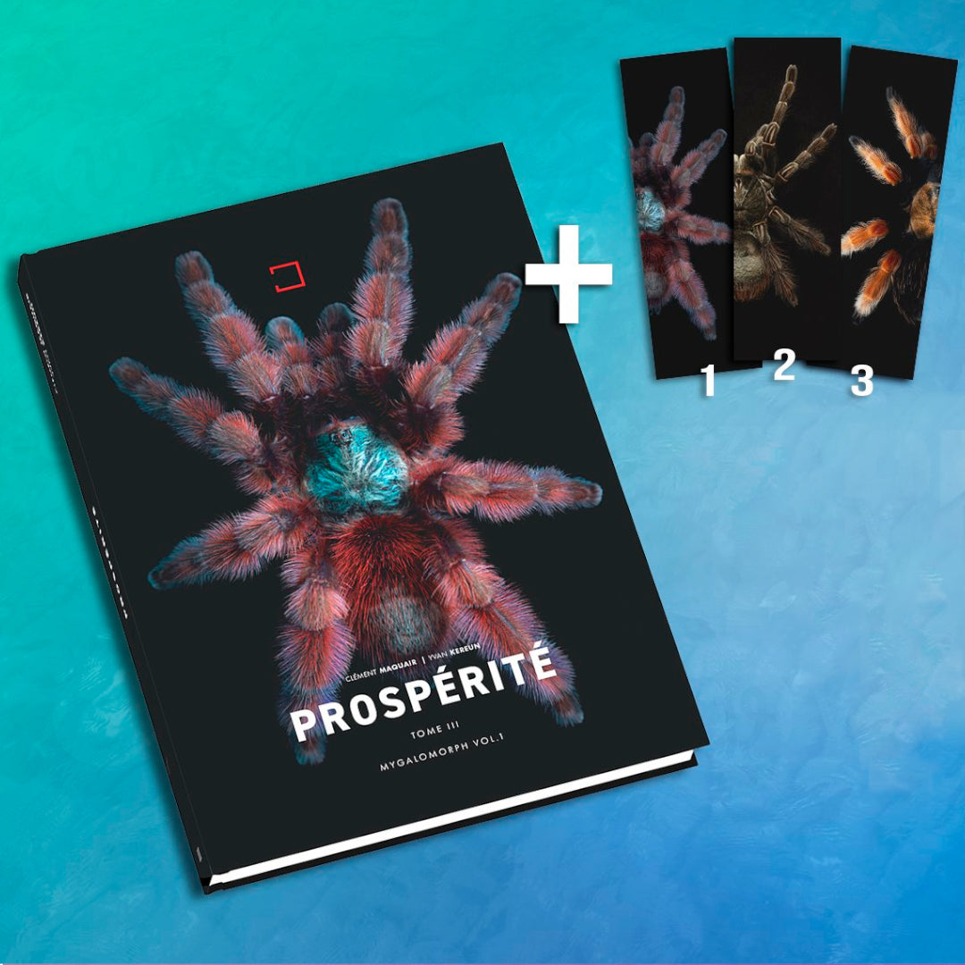 PROSPÉRITÉ TOME III MYGALOMORPH VOL.1