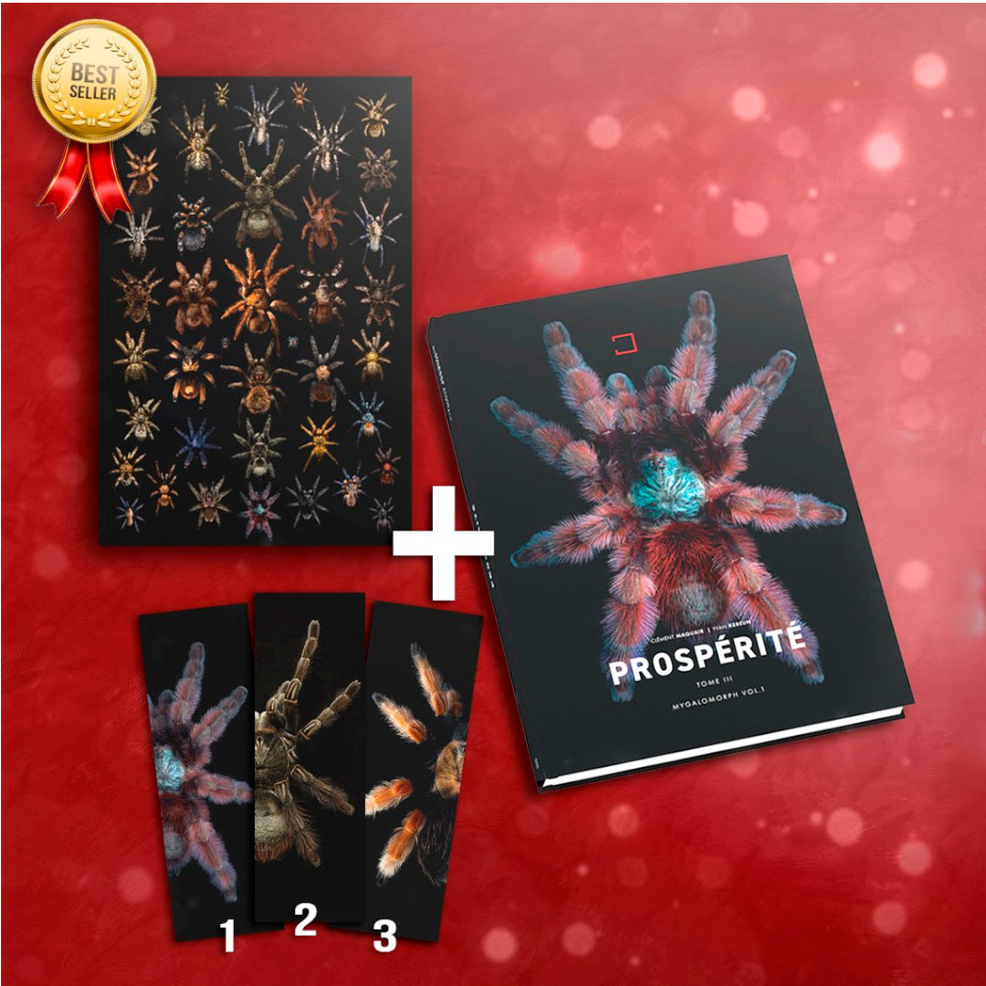 PROSPÉRITÉ TOME III MYGALOMORPH VOL.1