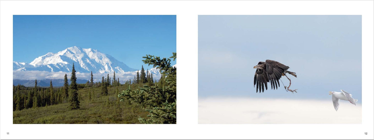Alakshak - Alaska the last frontier