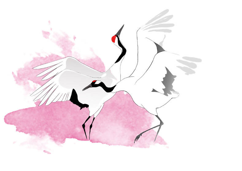La Vie Sauvage dans le Viseur