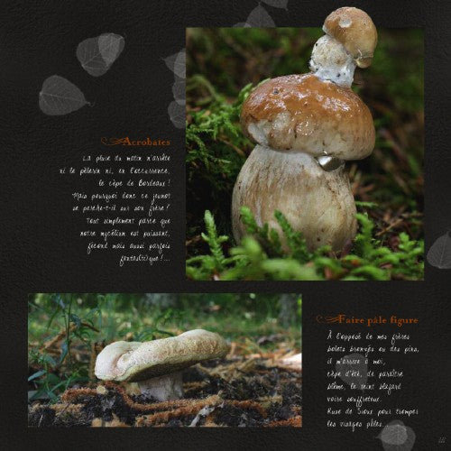 Le Roi Cèpe (confidences d'un champignon)