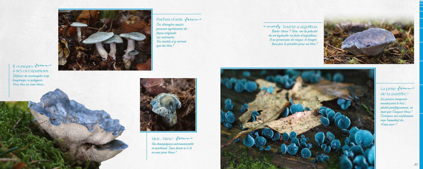 Mycolor (dans la peau d'un champignon)
