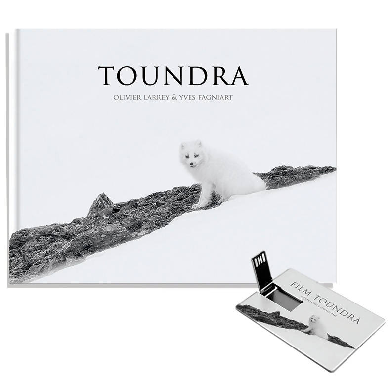 Toundra