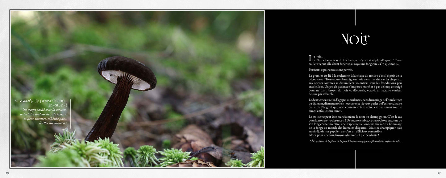 Mycolor (dans la peau d'un champignon)