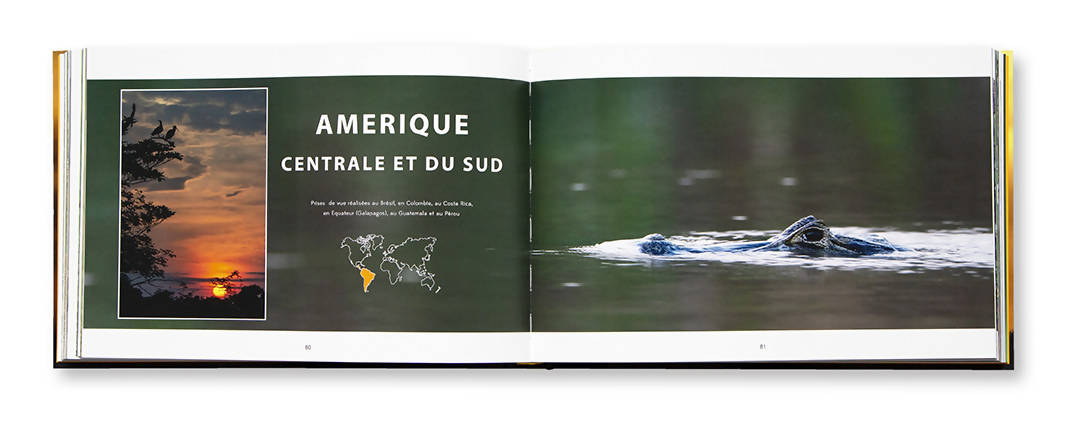 La Vie Sauvage dans le Viseur