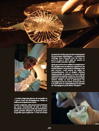 Champignons, l'Art et la Matière (Chapeau l'artiste !)