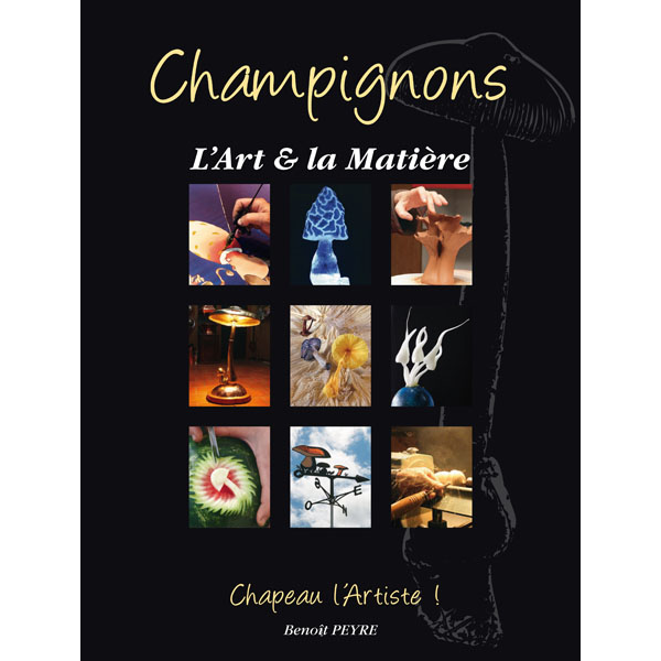 Champignons, l'Art et la Matière (Chapeau l'artiste !)