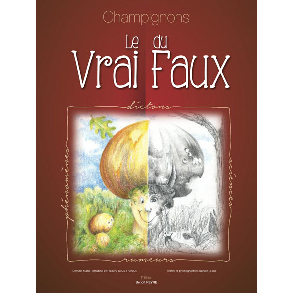 Champignons, le Vrai du Faux