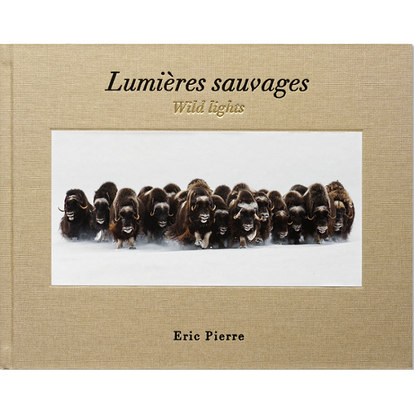 Lumières sauvages - Wild Lights