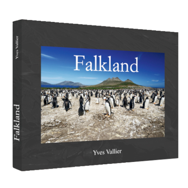 Falkland