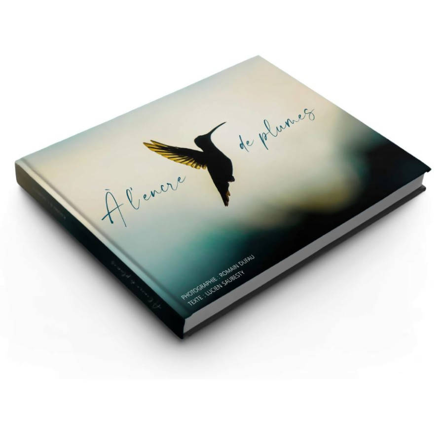 A l'encre de plumes