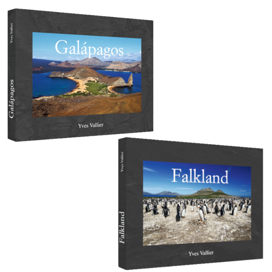 Falkland