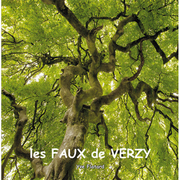 Les Faux de Verzy