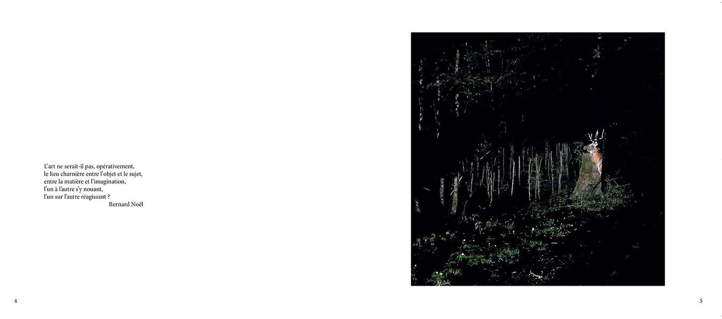 La nuit, quelques secondes à peine