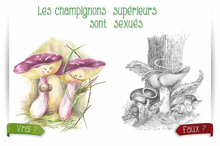 Champignons, le Vrai du Faux