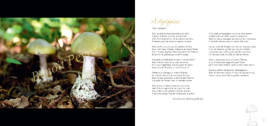Ô Champignons (Balades & ballades)