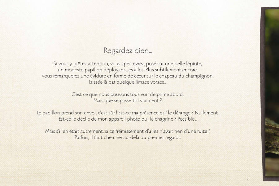 L'instant d'Après