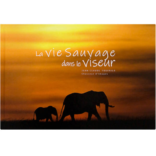 La Vie Sauvage dans le Viseur