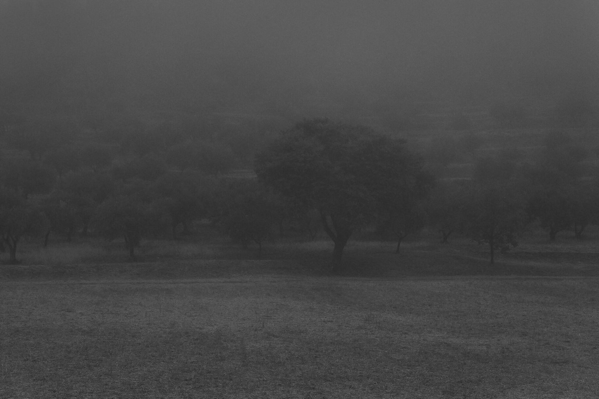 aubes-et-crepuscules-dominique-lauge-int06