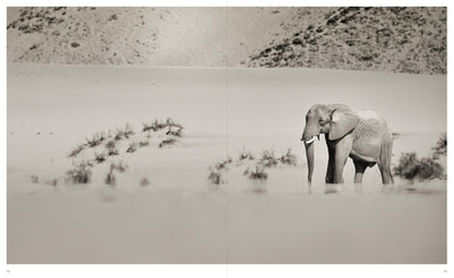 DANS L'OMBRE DES ÉLÉPHANTS