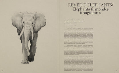 DANS L'OMBRE DES ÉLÉPHANTS
