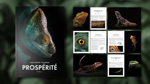 prosperite-maquette