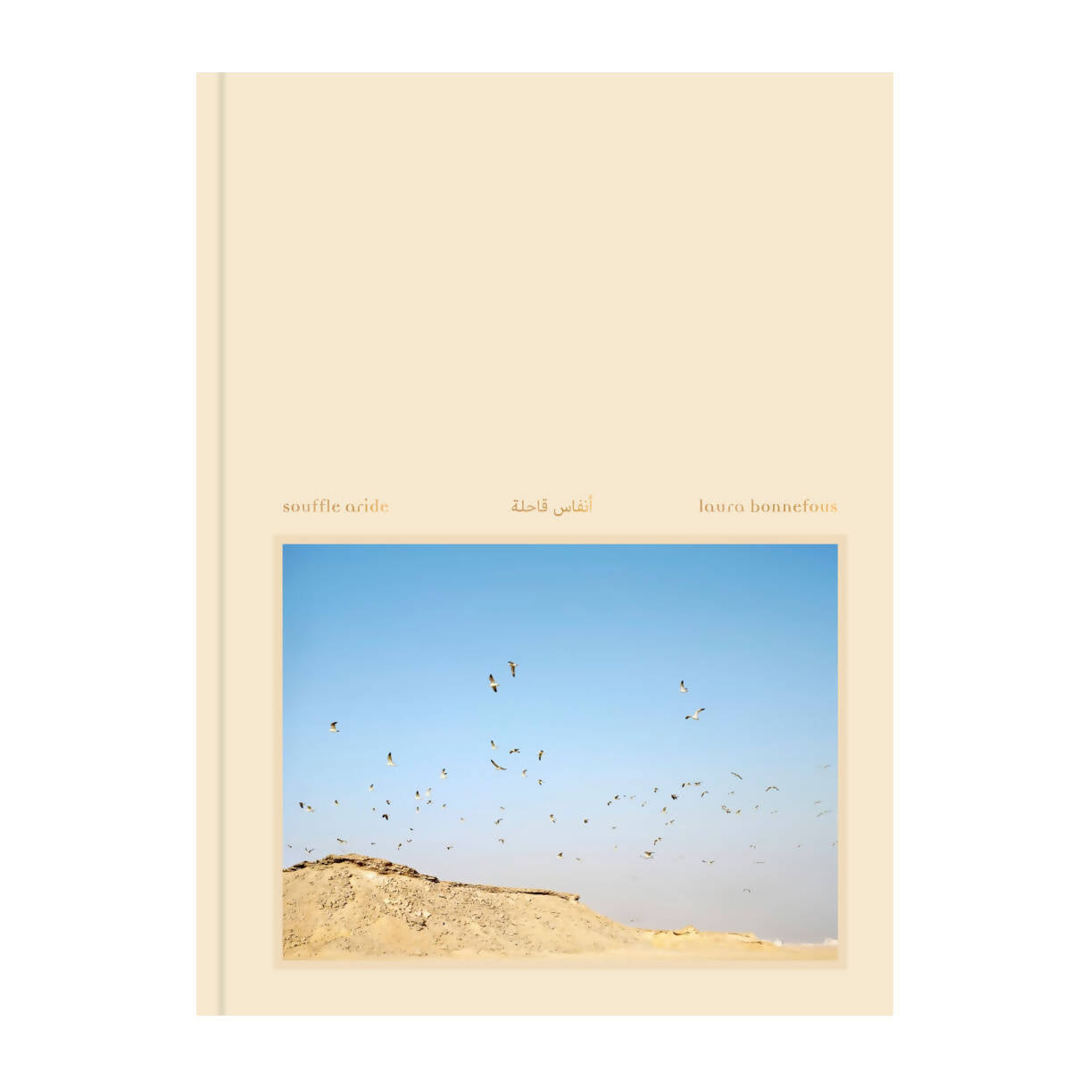 souffle-aride-laura-bonnafous-cover