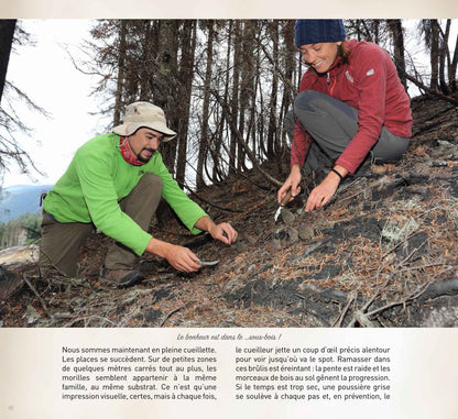 A la poursuite des morilles de feu