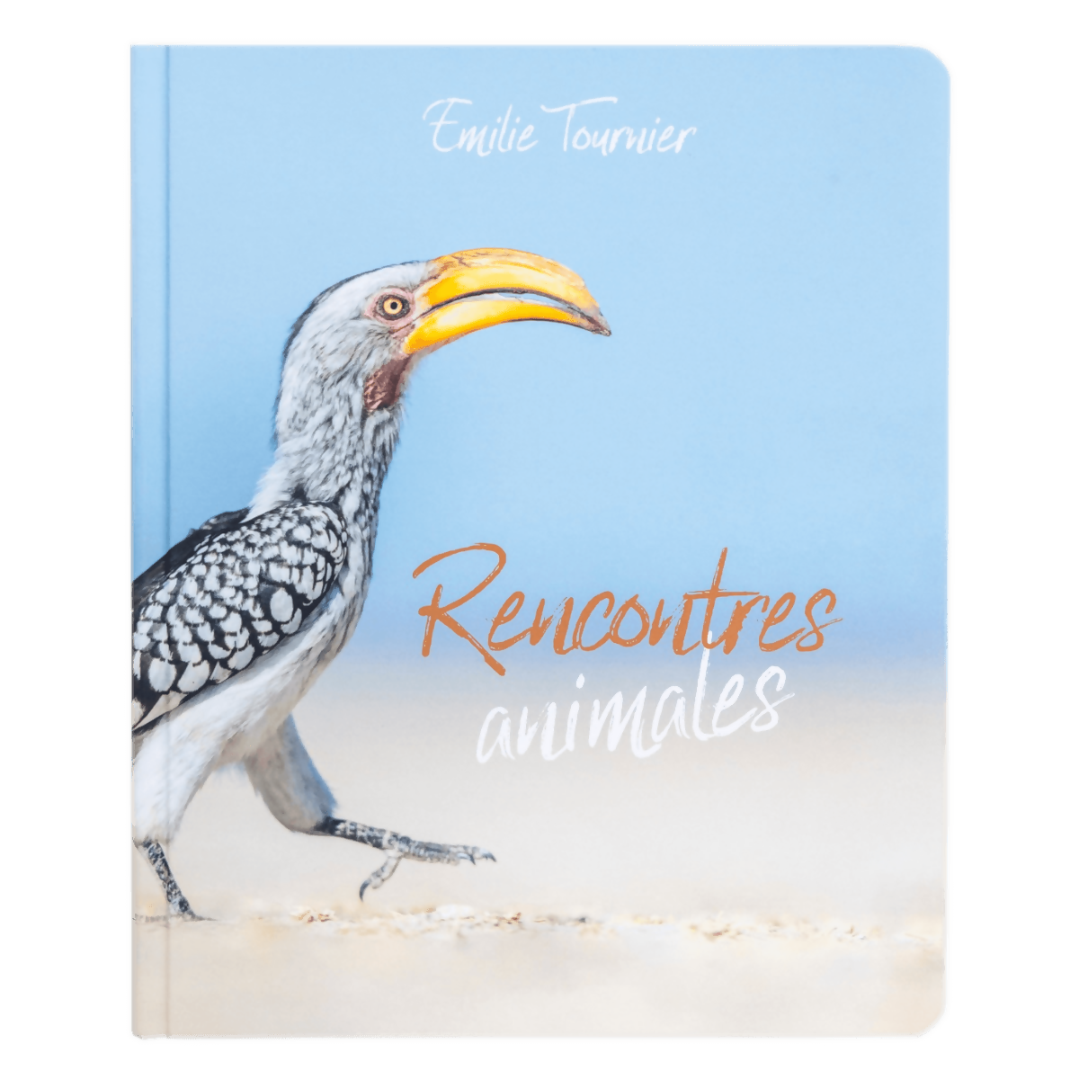 Rencontres animales