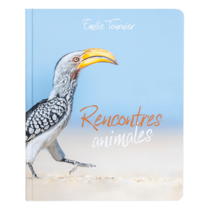 Rencontres animales