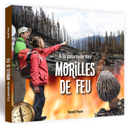 A la poursuite des morilles de feu