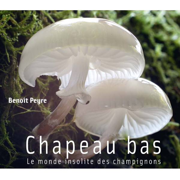 Chapeau bas (Le monde insolite des champignons)