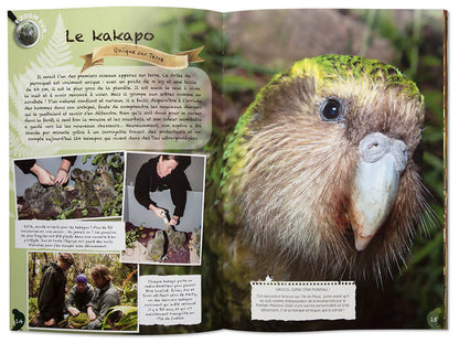 Géniale Nature : NOUVELLE-ZÉLANDE